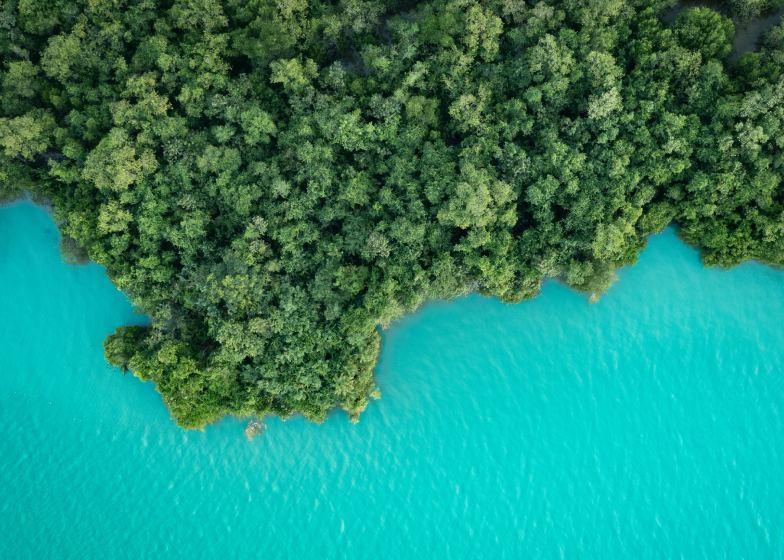 6 Key Updates on Regulatory Reforms in Asia and Australia