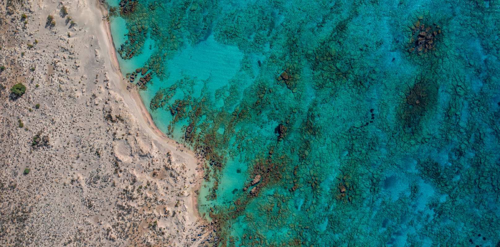 Pre-Marketing in the EU/EEA - FAQ