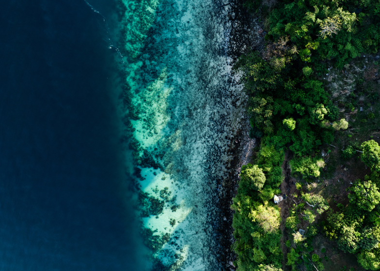 Shareholding Disclosure: 5 Key Developments