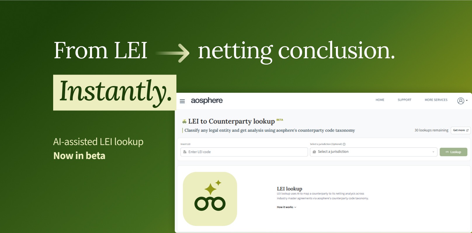 New LEI lookup feature