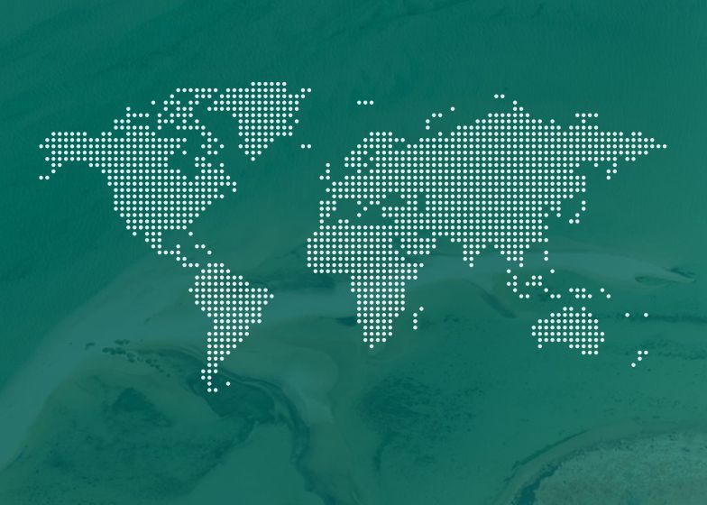 New Markets, New Rules: A Practical Checklist