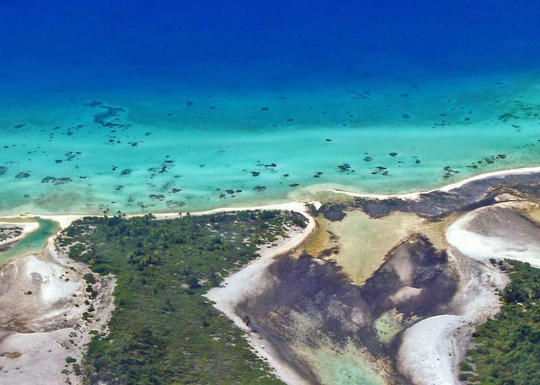 Pre-marketing Around the World - FAQ