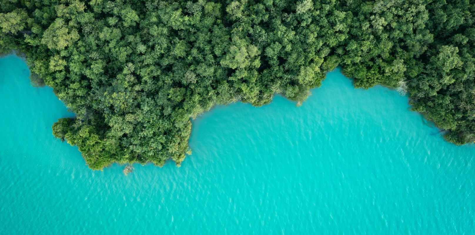 6 Key Updates on Regulatory Reforms in Asia and Australia
