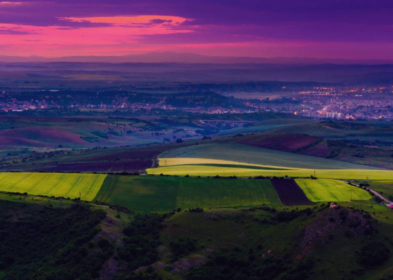 Regulatory Round Up – 2025 in Review