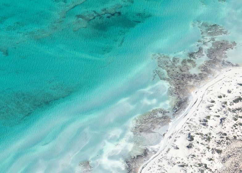 IOSCO Publishes Final Report on Neo-Brokers